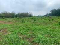 Đất vườn 1000m2 sổ riêng mặt tiền đường nhựa cách gần sân bay . Đất vườn 1000m2 sổ riêng mặt tiền đường nhựa cách gần sân bay .