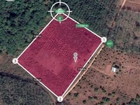 2ha đất trồng café, 150m mặt tiền đường bê tông giá siêu rẻ chỉ 1.5tỷ. 2ha đất trồng café, 150m mặt tiền đường bê tông giá siêu rẻ chỉ 1.5tỷ.