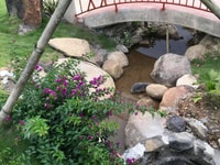 Bán đất view đẹp 1 héc tại thôn 2 lộc thành - lâm đồng Bán đất view đẹp 1 héc tại thôn 2 lộc thành - lâm đồng