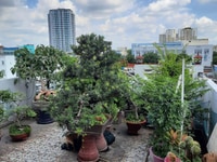 Bán Gấp Nhà Đẹp Mặt Tiền Nguyễn Minh Châu 4 Lầu 260m2 Giá Rẻ Bán Gấp Nhà Đẹp Mặt Tiền Nguyễn Minh Châu 4 Lầu 260m2 Giá Rẻ