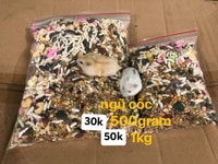 Ngũ cốc cho chuột hamster và chuồng ở Ngũ cốc cho chuột hamster và chuồng ở