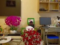 Bán căn hộ khu thương mại Chợ Lớn phường 2 quận 6 HCM