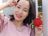 12 năm kinh nghiệm, Nhận báo cáo thuế, làm sổ sách, quyết toán thuế 12 năm kinh nghiệm, Nhận báo cáo thuế, làm sổ sách, quyết toán thuế