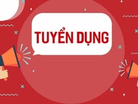 CTY TNHH 1 thành viên cần tuyển nhân sự làm việc giờ hành chính CTY TNHH 1 thành viên cần tuyển nhân sự làm việc giờ hành chính
