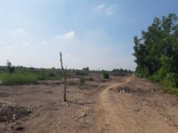 Đất vườn mặt tiền bờ sông Kênh Liên Vùng Bình Chánh Đất vườn mặt tiền bờ sông Kênh Liên Vùng Bình Chánh