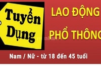 Tuyển nhân viên kho làm việc tại kho siêu thị Tuyển nhân viên kho làm việc tại kho siêu thị