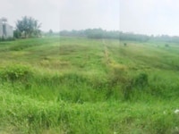 Đất sổ đỏ Đức Hoà - Long An 2400m2 Đất sổ đỏ Đức Hoà - Long An 2400m2