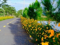 Đất nghỉ dưỡng,đầu tư ngay Lý Thường Kiệt view đẹp pháp lý rõ ràng. Đất nghỉ dưỡng,đầu tư ngay Lý Thường Kiệt view đẹp pháp lý rõ ràng.