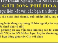 Công ty Kim Trang giải chấp, đáo hạn, vay vốn ngân hàng, mua nợ xấu