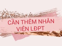 Tuyển tạp vụ, bán hàng, làm kho tại quận 7 Tuyển tạp vụ, bán hàng, làm kho tại quận 7
