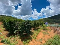 Bán Đất Vườn tại Lạc Dương - Đà Lạt - Siêu View Bán Đất Vườn tại Lạc Dương - Đà Lạt - Siêu View