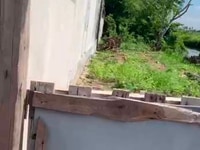 Bán 116m2 Phong Cầu, Đại Đồng, Kiến Thụy, Hải Phòng giá hơn 560tr Bán 116m2 Phong Cầu, Đại Đồng, Kiến Thụy, Hải Phòng giá hơn 560tr