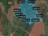 4.5 ha đất trồng sầu riêng đông đặc, 200m view hồ giá rẻ 5.2 tỷ. 4.5 ha đất trồng sầu riêng đông đặc, 200m view hồ giá rẻ 5.2 tỷ.