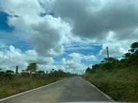 Bán miến đất vườn trả nợ ngân hàng wiew hồ mai thành TP.Bảo Lộc Bán miến đất vườn trả nợ ngân hàng wiew hồ mai thành TP.Bảo Lộc