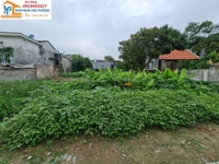 Bán lô 345m2 giá hơn 3tr gần đường 354 Tân Nam , Mỹ Đức , An LÃo , Hải Bán lô 345m2 giá hơn 3tr gần đường 354 Tân Nam , Mỹ Đức , An LÃo , Hải