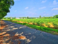 Bán 3100m2 đất sổ hồng riêng, ngay kcn Becamex dân đông. giá 550tr Bán 3100m2 đất sổ hồng riêng, ngay kcn Becamex dân đông. giá 550tr