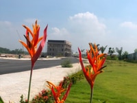 Bán đất thổ cư ngay chợ sông mây, trảng bom giá rẻ, chỉ 479 triệu Bán đất thổ cư ngay chợ sông mây, trảng bom giá rẻ, chỉ 479 triệu