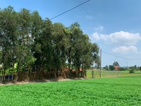 Bán lô đất 2MT ,4,5 : 14m giá 5,65 ty trần thái tông p15 tân bình hcm Bán lô đất 2MT ,4,5 : 14m giá 5,65 ty trần thái tông p15 tân bình hcm