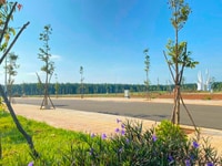 Rẻ, đẹp, hiếm và pháp lý chắc chắn, khu đô thị Ân Phú Rẻ, đẹp, hiếm và pháp lý chắc chắn, khu đô thị Ân Phú