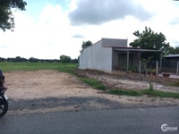 Bán Đất Xã Phú Hòa Đông,Huyện Củ Chi. 55m x 60m, DT: 3300m2 giá:13.5tỷ Bán Đất Xã Phú Hòa Đông,Huyện Củ Chi. 55m x 60m, DT: 3300m2 giá:13.5tỷ