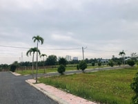 Đất liền kề khu công nghiệp Tân Hương, sổ hồng riêng, thổ cư 100% Đất liền kề khu công nghiệp Tân Hương, sổ hồng riêng, thổ cư 100%