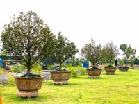 Bán Đất giá rẻ đường nhựa 8m thích hợp nghĩ dưỡng xã Bình Chánh Bán Đất giá rẻ đường nhựa 8m thích hợp nghĩ dưỡng xã Bình Chánh