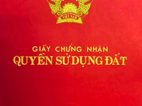 Bán đất đường Phan Tứ, Mỹ An, Ngũ Hành Sơn, Đà Nẵng 260m2 Bán đất đường Phan Tứ, Mỹ An, Ngũ Hành Sơn, Đà Nẵng 260m2
