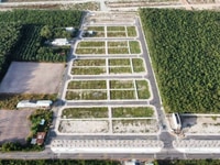 Đất Trung tâm Bàu BÀng Sổ Sẵn Giá Rẻ Đất Trung tâm Bàu BÀng Sổ Sẵn Giá Rẻ