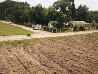 Long Hòa Dầu Tiếng 1000m2 sổ sẵn giá sát gốc bao sang tên Long Hòa Dầu Tiếng 1000m2 sổ sẵn giá sát gốc bao sang tên