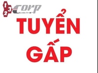 Cần tuyển 05 nhân viên kế toán kho, có kinh nghiệm là lợi thế Cần tuyển 05 nhân viên kế toán kho, có kinh nghiệm là lợi thế