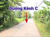 BÁN ĐẤT 7641,5 m2 MT đường nhựa 8m Kinh C Xã Tân Nhựt BÁN ĐẤT 7641,5 m2 MT đường nhựa 8m Kinh C Xã Tân Nhựt