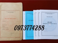 Bán bộ hồ sơ viên chức theo TT07/2019/TT-BNV Bán bộ hồ sơ viên chức theo TT07/2019/TT-BNV