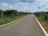 Hạ giá cần bán gấp đất mặt tiền hẻm Lê Thị Riêng, Tp. Bảo Lộc Hạ giá cần bán gấp đất mặt tiền hẻm Lê Thị Riêng, Tp. Bảo Lộc