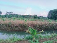 Siêu phẩm nghỉ dưỡng vườn ao hồ 1,7ha giá chỉ 2,2 tỷ, suối bao quanh Siêu phẩm nghỉ dưỡng vườn ao hồ 1,7ha giá chỉ 2,2 tỷ, suối bao quanh