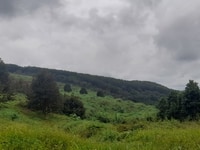 5ha đất trồng 700 cây sầu riêng giá chỉ 4.5 tỷ. 5ha đất trồng 700 cây sầu riêng giá chỉ 4.5 tỷ.