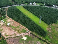 1000m2 Đất Bàu Bàng sát KCN cần bán gấp 1000m2 Đất Bàu Bàng sát KCN cần bán gấp