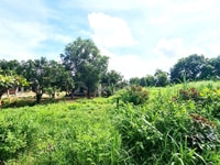 4600m2 Đường Mặt Tiền ĐẤT THỔ CƯ, 2.68 tỷ, Sơn Mỹ, Hàm Tân, Bình Thuận 4600m2 Đường Mặt Tiền ĐẤT THỔ CƯ, 2.68 tỷ, Sơn Mỹ, Hàm Tân, Bình Thuận