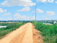 Farmstay Dốc tình Sao Mai - Ka Đơn trên 500m2 giá chỉ 480 triệu Farmstay Dốc tình Sao Mai - Ka Đơn trên 500m2 giá chỉ 480 triệu