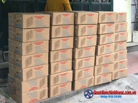 Quạt thông gió cho truồng trại tốt nhất Quạt thông gió cho truồng trại tốt nhất