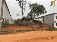 Cần bán nhanh 2200m2 sổ đỏ mặt Đường Tăng Minh Phú làm kho xưởng Cần bán nhanh 2200m2 sổ đỏ mặt Đường Tăng Minh Phú làm kho xưởng
