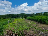 Lô Đất DT 1835 M2, Ngang 13,84 M, Đường Ô Tô, SHR, X.Suối Rao, BR-VT Lô Đất DT 1835 M2, Ngang 13,84 M, Đường Ô Tô, SHR, X.Suối Rao, BR-VT