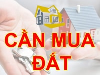 Công ty Bất Động Sản Thăng Long Nguyên Hồng đang có nhu cầu mua bđs Công ty Bất Động Sản Thăng Long Nguyên Hồng đang có nhu cầu mua bđs