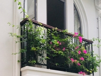 Chính chủ bán nhà ngõ 220 phố Bà Triệu, Q.Hai Bà Trưng, Hà Nội