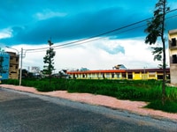 Cần ra nên gốc tại KĐT thị trấn Thành phu Cần ra nên gốc tại KĐT thị trấn Thành phu