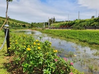Bán đất hẻm Lý Thái Tổ gần Lâu Đài Trắng giá 600tr full thổ cư Bán đất hẻm Lý Thái Tổ gần Lâu Đài Trắng giá 600tr full thổ cư