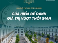 Nhà phố: Của hiếm để dành, GIÁ TRỊ VƯỢT THỜI GIAN Nhà phố: Của hiếm để dành, GIÁ TRỊ VƯỢT THỜI GIAN