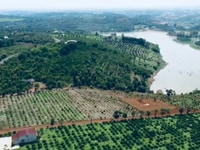 Đất nền tp gia nghiã sổ sẵn sang tên công chứng ngay gần đường lớn Đất nền tp gia nghiã sổ sẵn sang tên công chứng ngay gần đường lớn