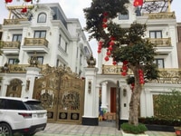 Bán Gấp Biệt Thự Siêu VIP Giữa Trung Tâm Hà Nội, Ưu Đãi Lãi Suất 0% Bán Gấp Biệt Thự Siêu VIP Giữa Trung Tâm Hà Nội, Ưu Đãi Lãi Suất 0%