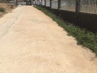 Đất đẹp Đà Lạt, đường Mimosa, SRNN, chính chủ Đất đẹp Đà Lạt, đường Mimosa, SRNN, chính chủ