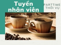 Việc làm thêm cho sinh viên quận Bình Thạnh hỗ trợ xoay ca parttime Việc làm thêm cho sinh viên quận Bình Thạnh hỗ trợ xoay ca parttime